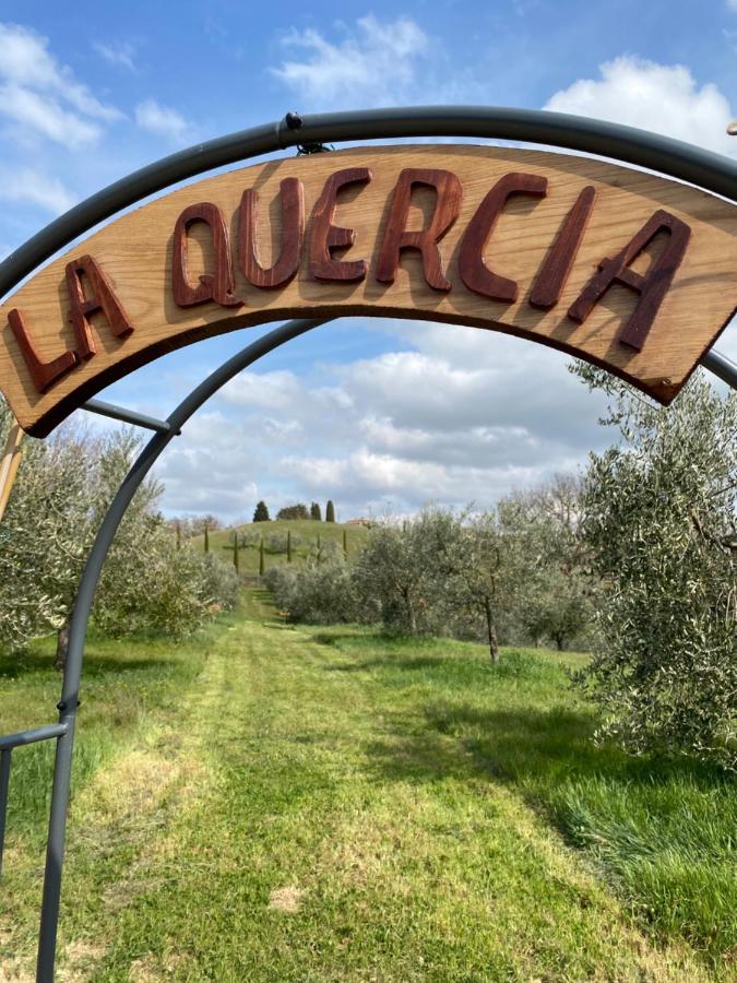 Villa La Casina Della Quercia, Your Tuscan Oak Tree House Osteria Delle Noci Exterior foto